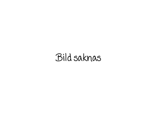 Vispa