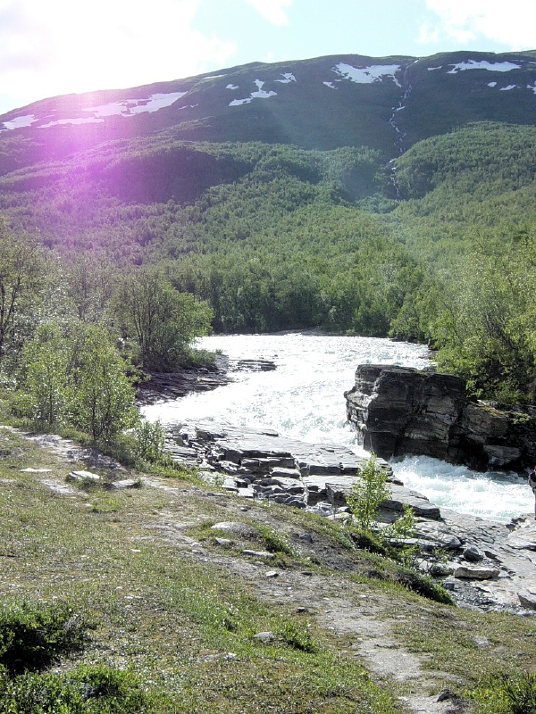 dsc00001_1.jpg