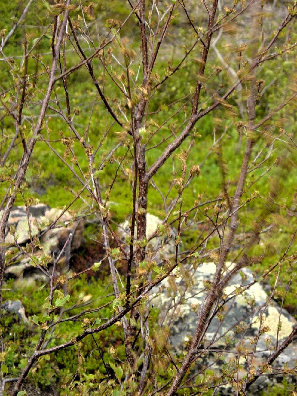 dsc00014.jpg