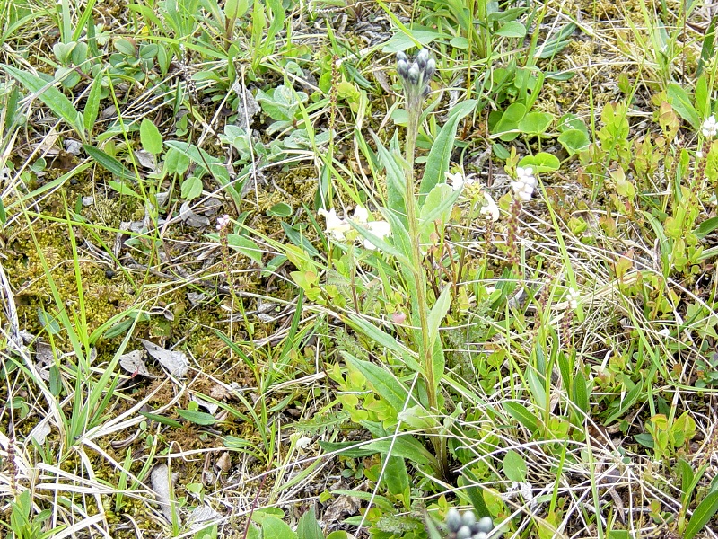 dsc00015_1.jpg