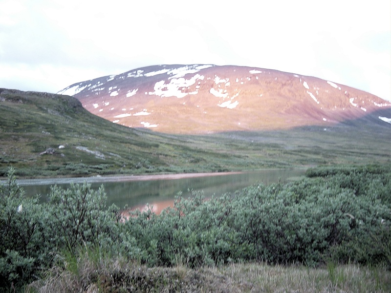 dsc00020.jpg