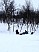 dsc00043.jpg